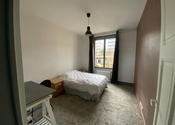 Appartement 2-bedroom Apartment, Close To Center And Chu Clermont-Ferrand